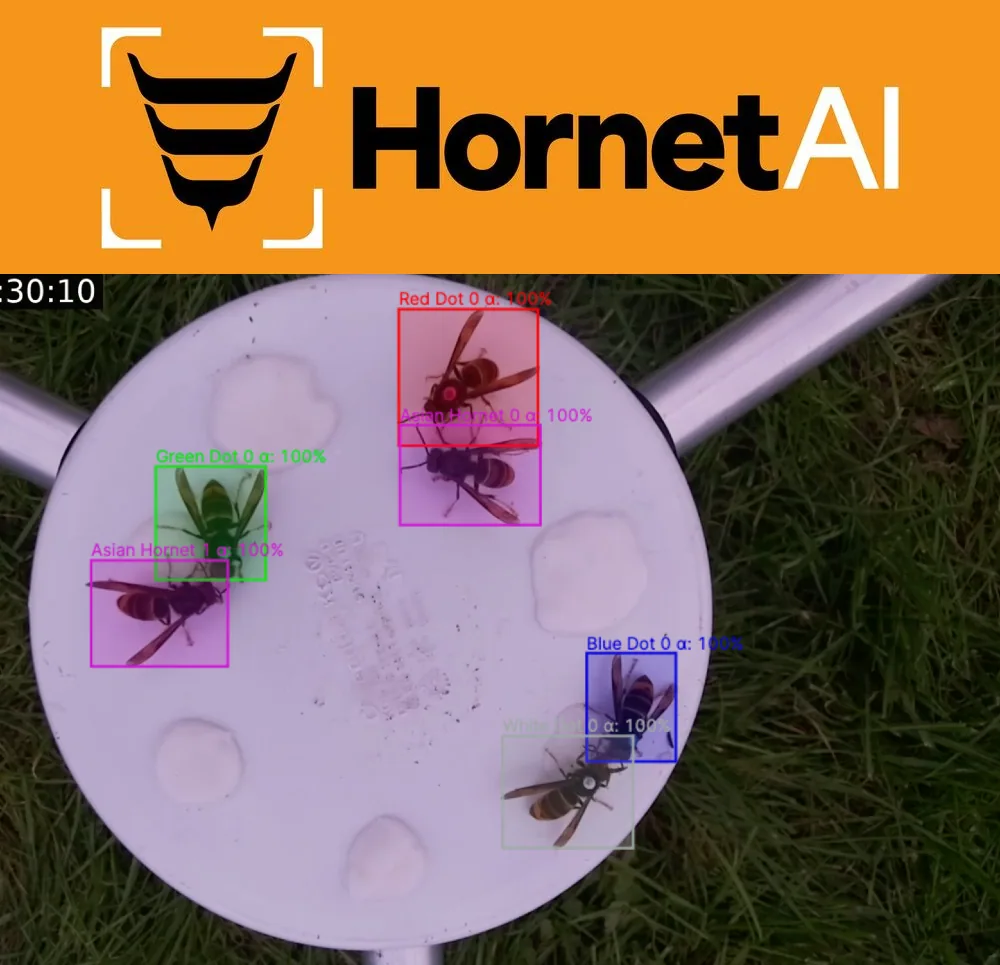 HornetAI, screen 1