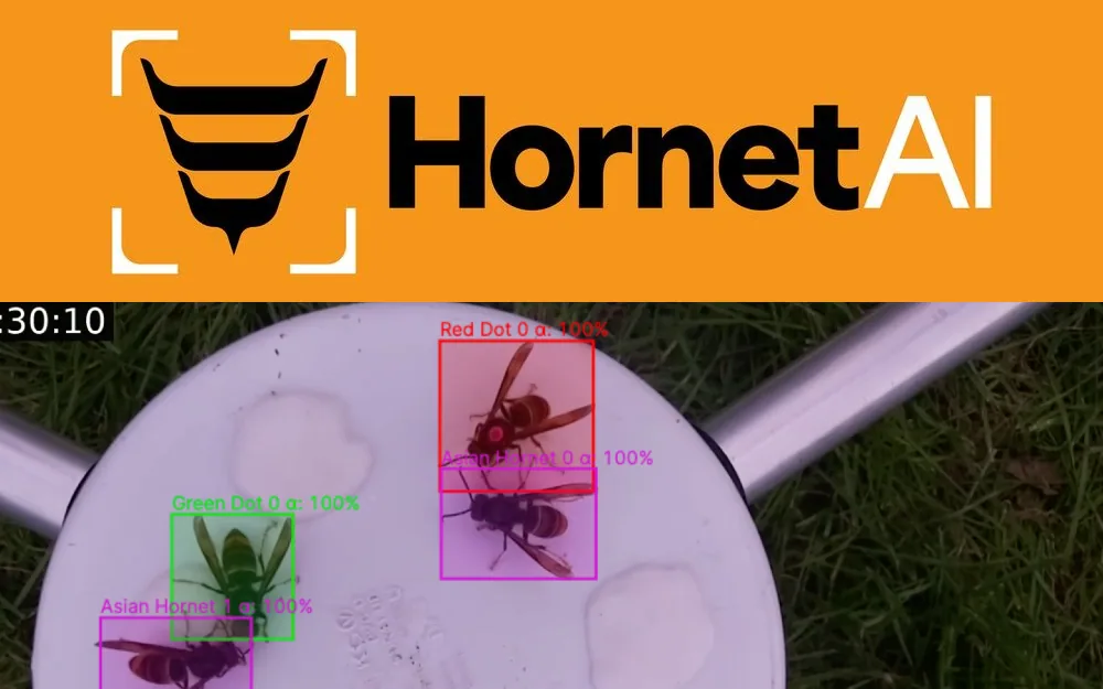 HornetAI: Detects Asian hornets at a bait station and tells individually marked insects apart, so a single hornet can be followed between visits.